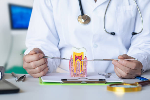 Best Emergency Dental Care for Trauma or Injury in Juneau, WI